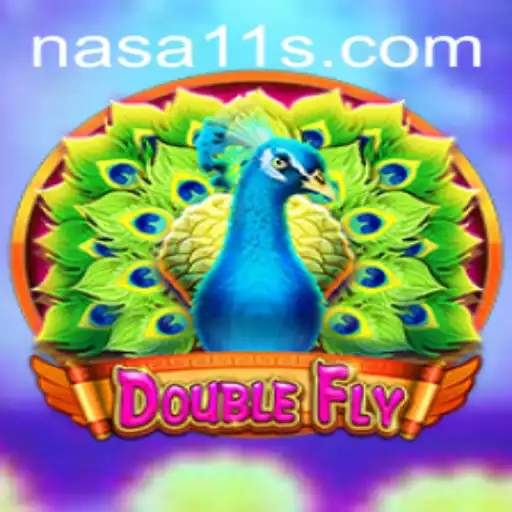 Exploring the Dynamic World of DoubleFly with NASA11
